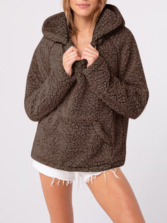 Hooded Loose Casual Cotton Pockets Hoodie (Style V100820)