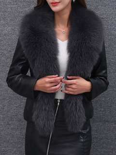 Shawl Collar Short Slim Date Night Belt Jacket (Style V101321)