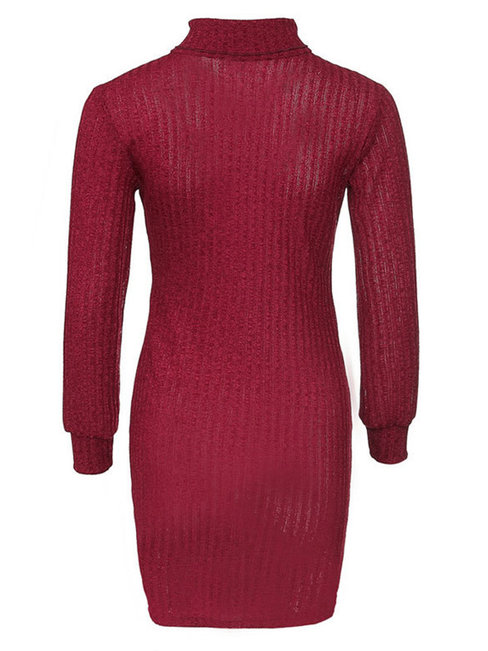 Casual Bodycon Turtleneck Plain Casual Dresses (Style V200830)