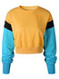 Round Neck Short Loose Casual Acrylic Sweatshirts (Style V100754)