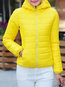 Short Straight Elegant Plain Pockets Jacket (Style V101450)