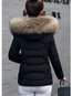 Hooded Slim Date Night Plain Dacron Coat (Style V101679)