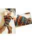 Fashion Print Cotton Socks (Style V102629)