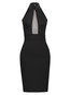 Bodycon Stand Collar Plain Backless Bodycon Dresses (Style V200122)