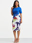 Pencil Round Neck Color Block Patchwork Polyester Floral Dresses (Style V200427)
