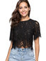 Round Neck Short Slim Lace Blouse (Style V200498)