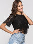 Round Neck Short Slim Lace Blouse (Style V200498)