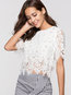 Round Neck Short Slim Lace Blouse (Style V200498)