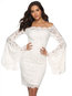 Elegant Bodycon Off The Shoulder Lace Polyester Bodycon Dresses (Style V201211)