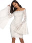 Elegant Bodycon Off The Shoulder Lace Polyester Bodycon Dresses (Style V201211)