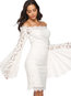 Elegant Bodycon Off The Shoulder Lace Polyester Bodycon Dresses (Style V201211)
