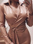 Going Out Bodycon Solid Color Sash Pu Leather Midi Dresses (Style V300624)